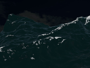 海浪表面泡沫_realflow2013_realwave方法