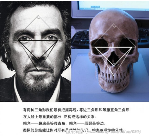 家里备有一幅骨骼的模型对于学习而言是很重要的,有全身的骨骼就最理想。尤其是头骨,即便是盗墓都要去弄一个来。卖手办模型的玩具店里会有一些高仿真的树脂头骨,那种很好。不要买石膏的,基本上看不清结构。真人骨骼的最大缺点是牙齿不全并且很难通过机场安检,所以买仿真的就好。下面是一些画人的小心得。 对于结构的几何分析几乎有无数种可能,并且不存在完美的形式,因为对于头骨,解剖是硬道理,所以更高层的总结很难适用于真正的写实,变来变去的也只会让自己无所适从,这是我的个人感受,因此认定一套差不多的让自己心里有底就行,最终的