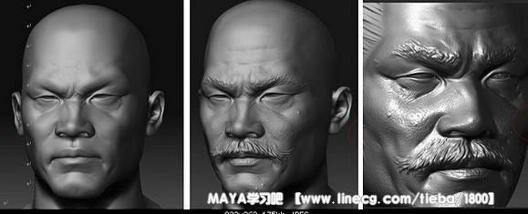 点击查看原图