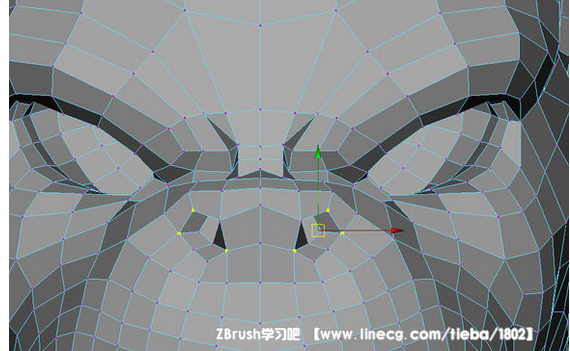 点击查看原图