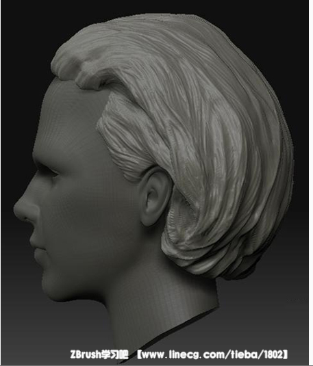 zbrush雕刻头发笔刷介绍