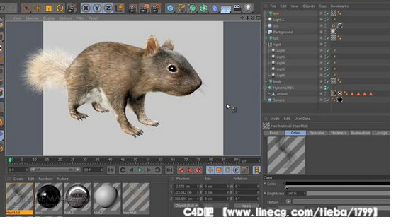c4d动物毛发制作训练视频教程