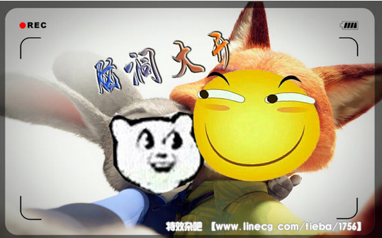 点击查看原图