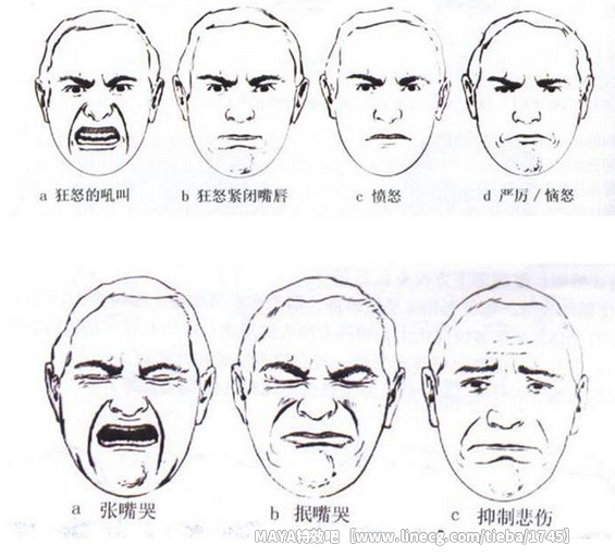 表情,口型动画教程资料