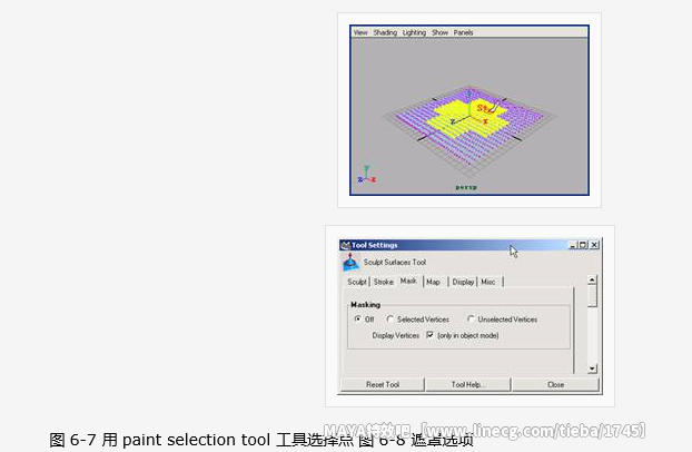 点击查看原图