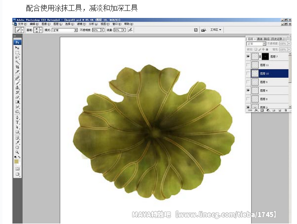 点击查看原图