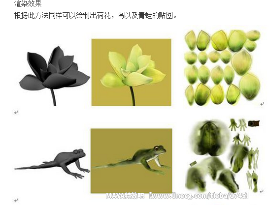 点击查看原图
