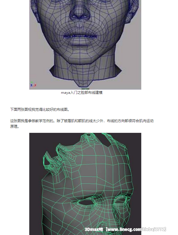 maya入门之脸部布线建模